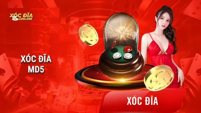 Bật mí kinh nghiệm chơi Xóc Đĩa 3D MD5 hiệu quả