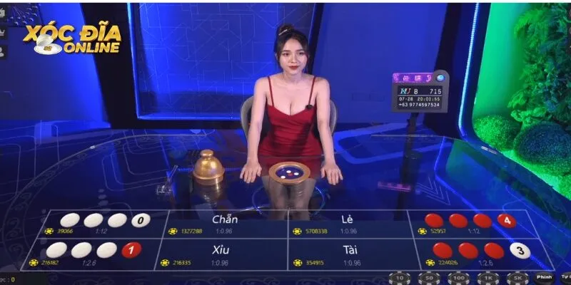 Đông đảo cược thủ xóc đĩa yêu thích chơi vào ban đêm