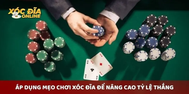 Tổng hợp mẹo phong thuỷ cá cược thu hút tài lộc nhất